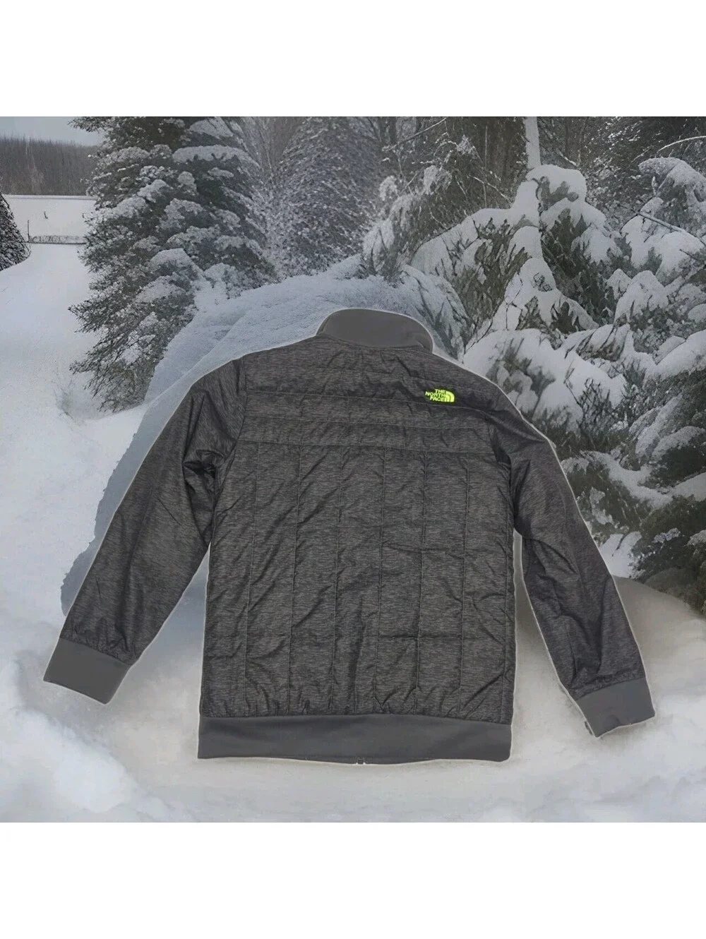 The North Face Winter Jacket Boys Youth Large 14 16 Reversible Chimbo Yukon Ski